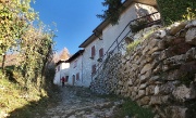 SAN MAURO DI BRUNTINO - CANTO ALTO - FOTOGALLERY